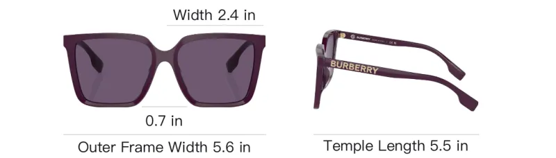 Burberry Square Frame Sunglasses-4