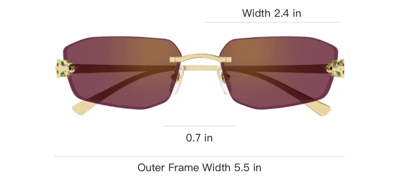 Cartier Geometric Frame Sunglasses-2