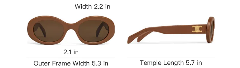 CELINE Triomphe 01 Sunglasses In Acetate-3