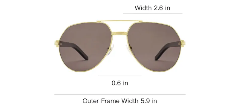 Cartier Aviator Frame Sunglasses-2