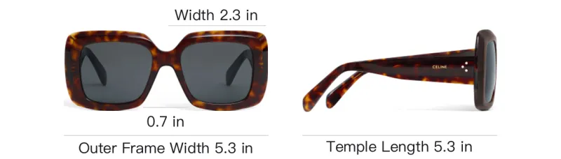CELINE Square Frame Sunglasses-3