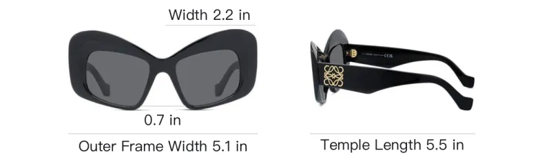 LOEWE Cat Eye Frame Acetate Sunglasses-3