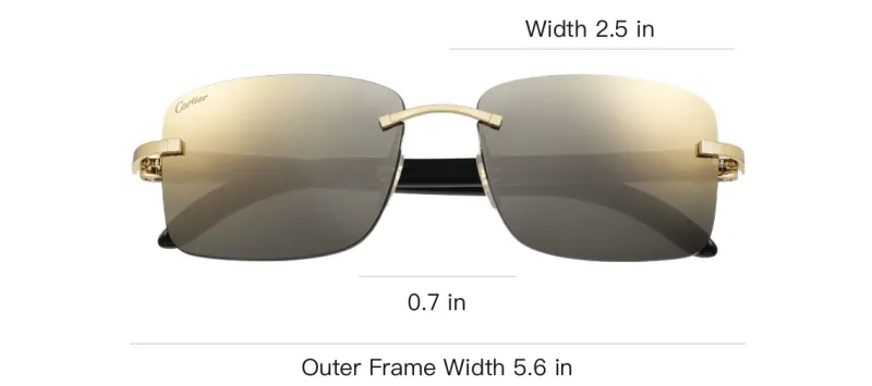 CARTIER Horn Irregular Shape Sunglasses Unisex White-2