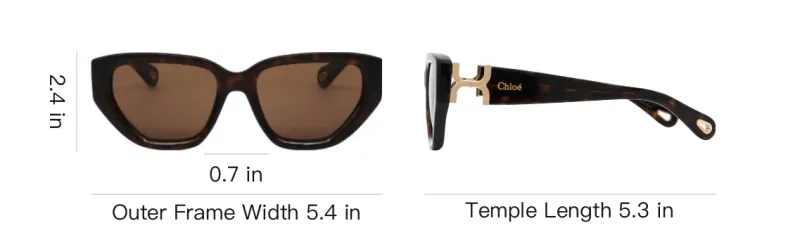Chloe Acetate Bio Based Nylon Irregular Shape Sunglasses Women's Tortoiseshell-3