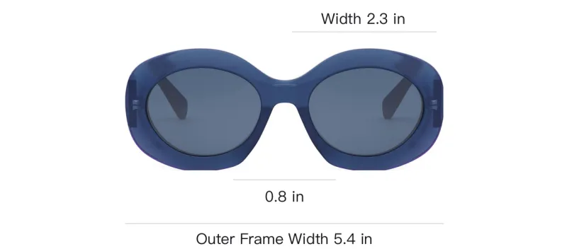 CELINE Round Frame Sunglasses-4