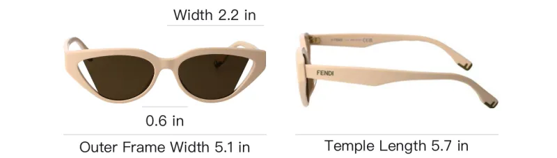 FENDI Cat Eye Frame Sunglasses-4