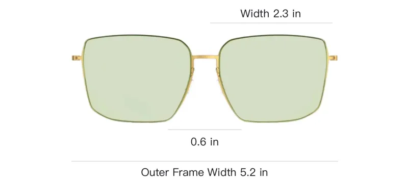 LINDBERG Other Irregular Shape Sunglasses Unisex Gold-2