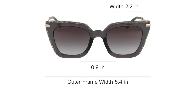Jimmy Choo Acetate Cat Eye Sunglasses Women's Umber-4