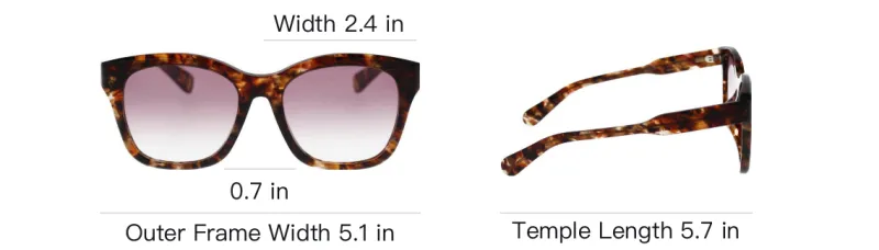 Chloe Acetate Cat Eye Sunglasses Women's Brown-4