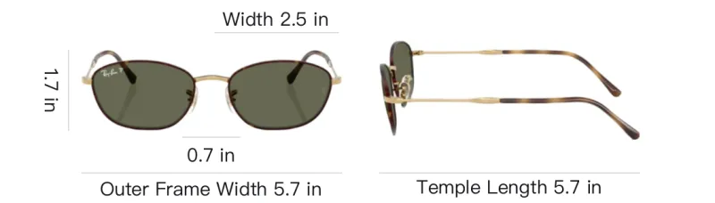 RayBan Sunglasses-3