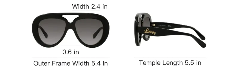 LOEWE Curvy Sunglasses-2