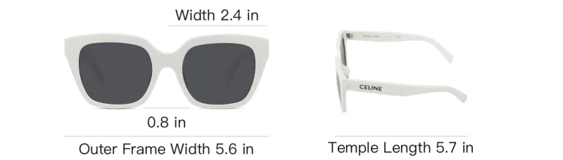 CELINE Butterfly Frame Sunglasses-4