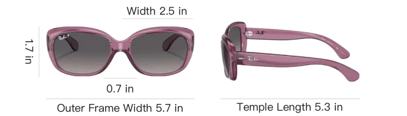 RayBan Nylon Butterfly Sunglasses Unisex Pink-5
