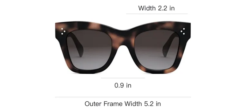 CELINE Acetate Irregular Shape Sunglasses Unisex Brown-4