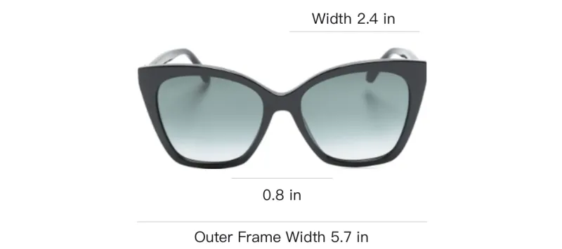 Jimmy Choo Eyewear Ruag Cat eye Sunglasses-2