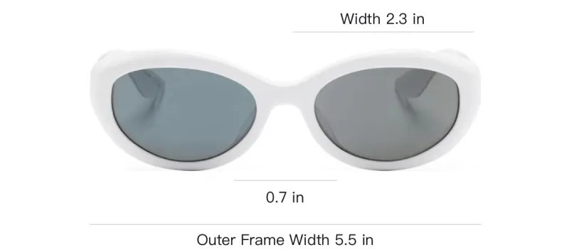Oliver Peoples 1968C Cat-eye Frame Sunglasses-3