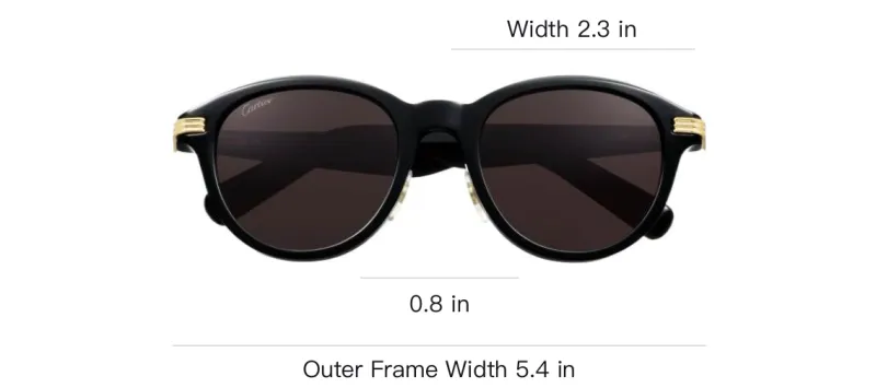 CARTIER Plate Frame Irregular Shape Sunglasses Unisex Black-2