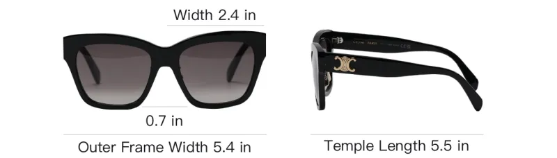 【送料&関税込】Celine Irregular Frame Sunglasses CELINE Acetate Irregular Shape Sunglasses Unisex Black - POIZON