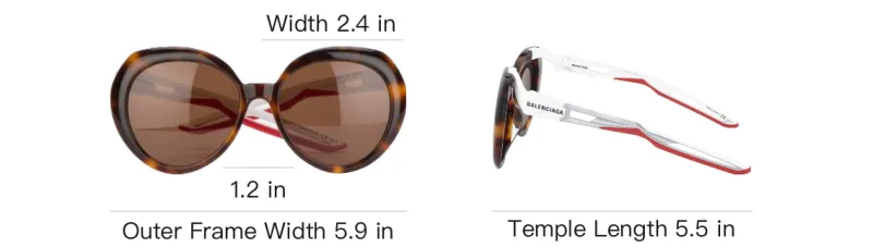 Balenciaga Round Frame Sunglasses-3