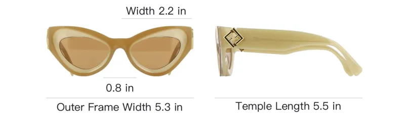 FENDI Cat Eye Frame Sunglasses-3