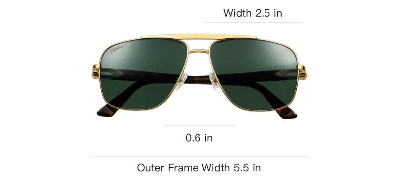 CARTIER Metal Aviator Sunglasses Men's Tortoiseshell-2