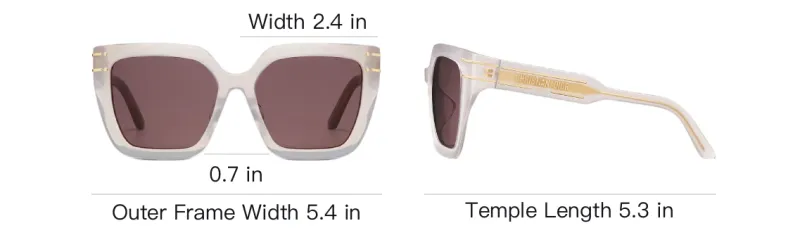 DIOR Acetate Metal Irregular Shape Sunglasses Women's Mink Gray-3