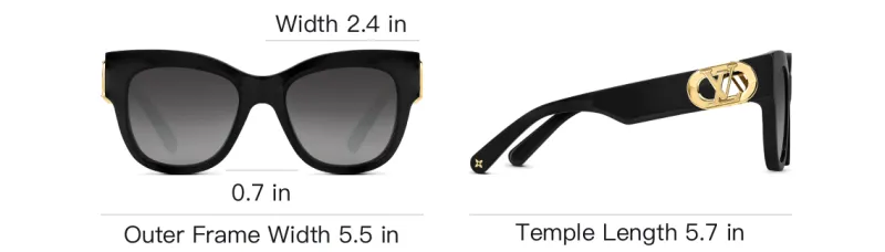 LOUIS VUITTON Lv Link Pm Cat Eye Sunglasses-3