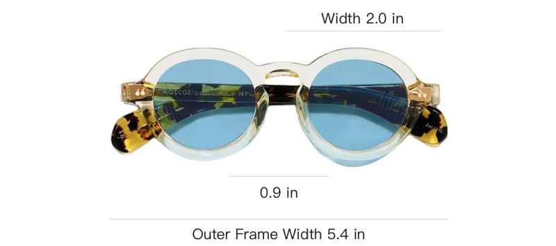 MOSCOT Acetate Oval Sunglasses Unisex Transparent-2