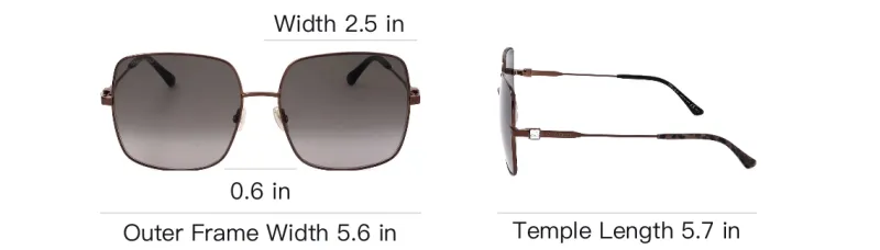 Jimmy Choo Lili Square Frame Sunglasses-3