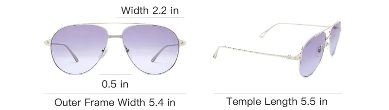 Cartier Aviator Sunglasses-2