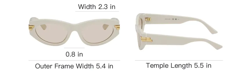 Bottega Veneta Cat Eye Frame Sunglasses-3