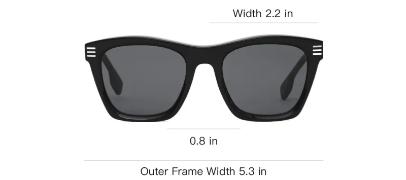 Burberry Sunglasses Men Black-3