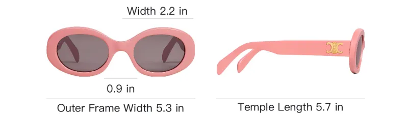 CELINE Triomphe 01 Sunglasses In Acetate-3