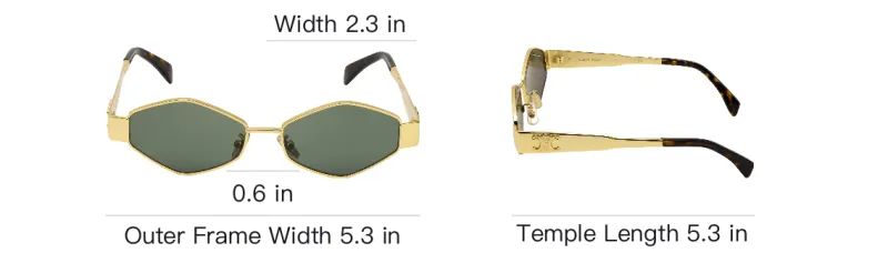 CELINE Geometric Frame Sunglasses-5