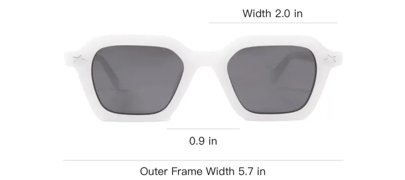 PLEASURES X Akila Era Sunglasses-3