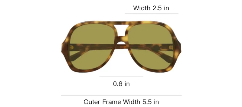 Chloe Acetate Aviator Sunglasses Unisex Tortoiseshell-2