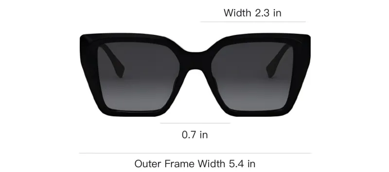 FENDI Oversized Frame Sunglasses-2
