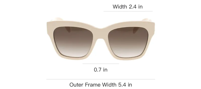 CELINE Triomphe 09 Sunglasses In Acetate-3