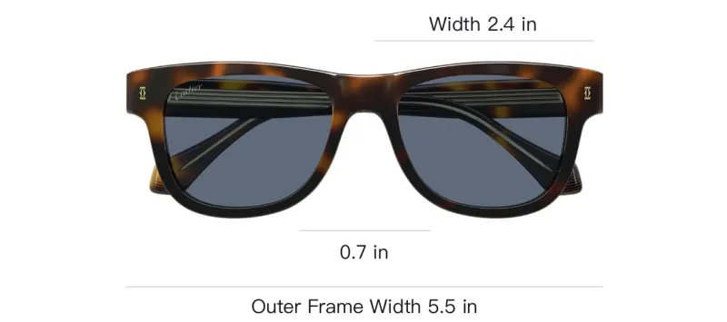 Cartier Signature C De Cartier Sunglasses-3