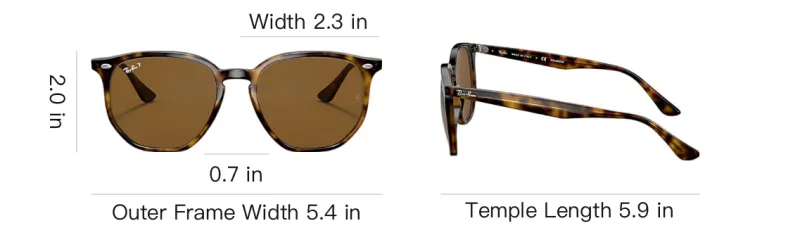 RayBan Propionate Salt Irregular Shape Sunglasses Unisex Tortoiseshell-3