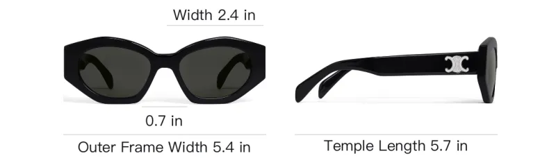 CELINE Eyewear Irregular Frame Sunglasses-3