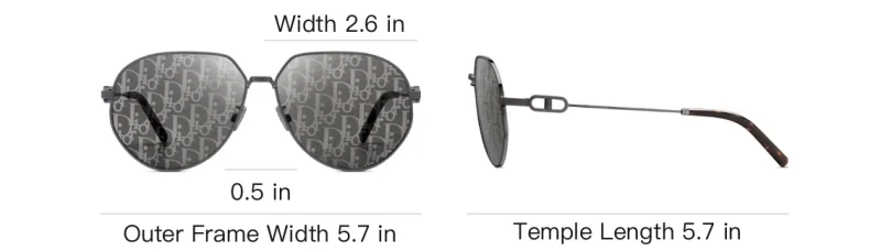DIOR Acetate Metal Irregular Shape Sunglasses Men's Gray-3