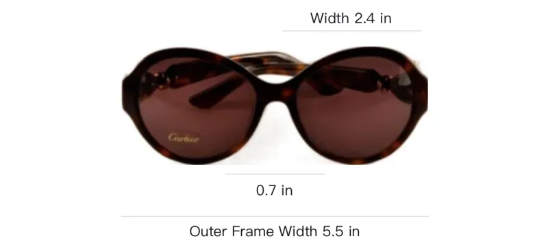 CARTIER Plastic Oval Sunglasses Unisex Tortoiseshell-3