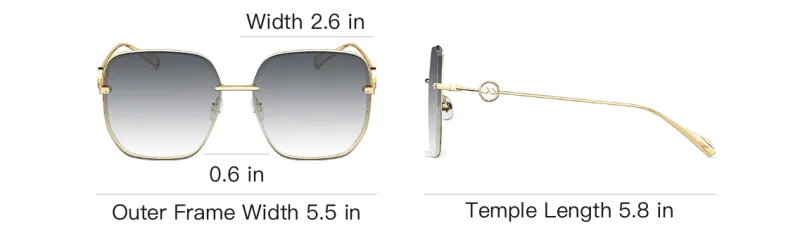 MOLSION Irregular Shape Sunglasses Unisex Multiple Colors-3