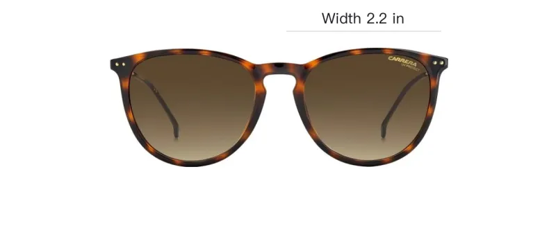 CARRERA Oval Sunglasses Men's Havana-2