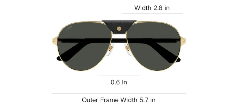 Cartier Santos De Cartier Pilot Sunglasses-3