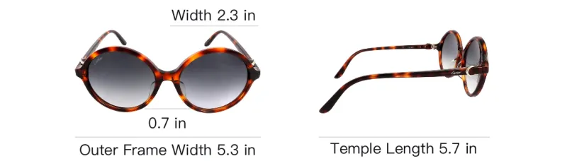 CARTIER Acetate Round Sunglasses Women's Tortoiseshell-3