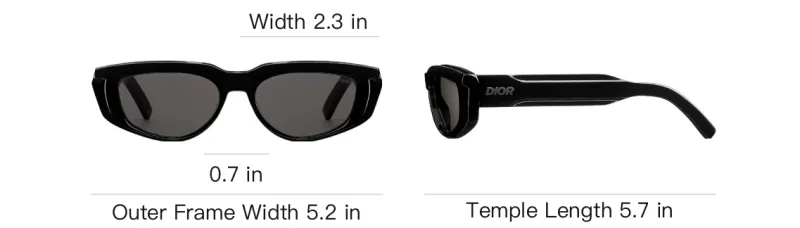 DIOR Acetate Cat Eye Sunglasses Men's Black-3