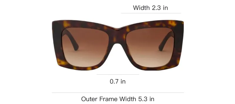 Jimmy Choo Juliana Sunglasses-3