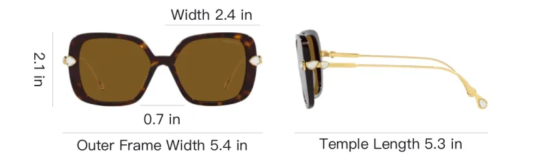 Swarovski Irregular Shape Sunglasses Women's Tortoiseshell-6